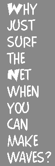 Why just surf the 'Net when you can make waves?